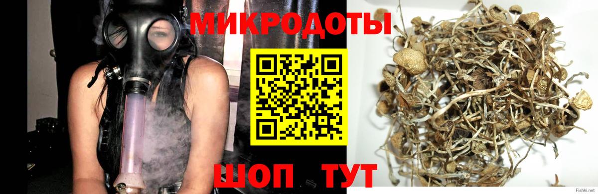 Белово  Галлюциногенные грибы GOLDEN TEACHER  Вход с VPN 