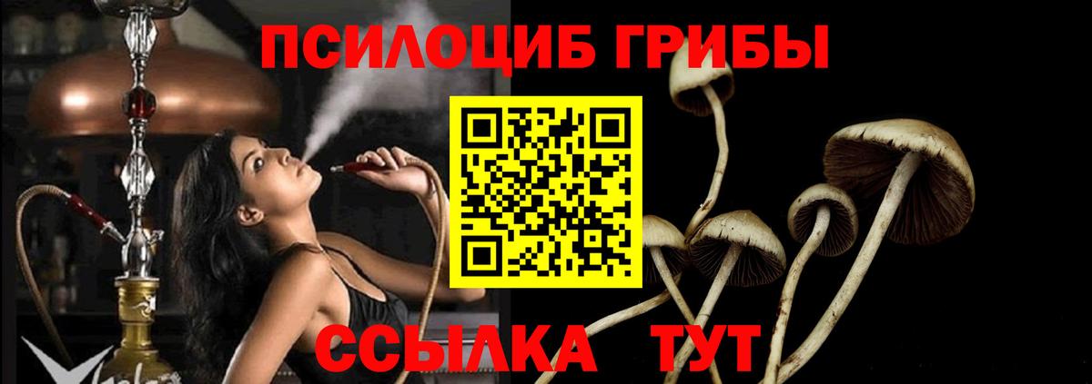 Псилоцибиновые грибы мухоморы Белово